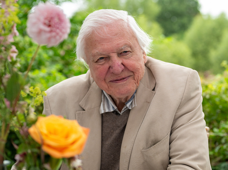 Sir David Attenborough smiling at the camera surrounded by vegetation and flowers