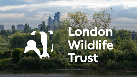 New LWT Logo on Walthamstow Wetlands background