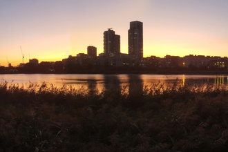 Woodberry at sunrise