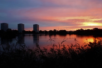 Picturesque sunrise at Woodberry