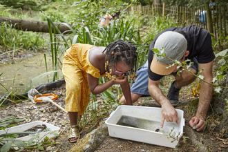 Child and adult looking at pond dipping finds in a bucket next to a pond