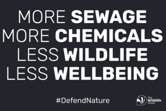 Text reads: More sewage more chemicals less wildlife less wellbeing #DefendNature