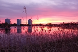 Sunrise at Woodberry Wetlands