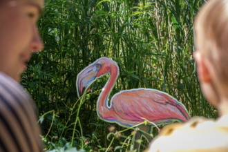 a child and person looking at a drawn flamingo stood amongst reeds