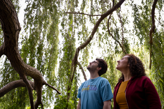 Two people looking up at a tree