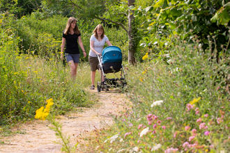 Two people pushing a pram through a flowery reserve