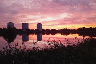 a sunrise at Woodberry Wetlands casting a purple shadow over the waters of the reserve whilst three tower blocks are in the background