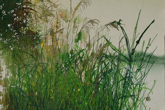 A painting of reeds in the wetlands 