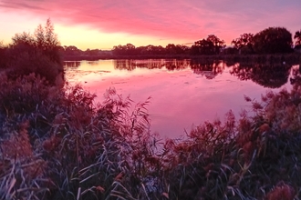 a sunrise at Woodberry Wetlands casting a purple shadow over the waters of the reserve whilst three tower blocks are in the background