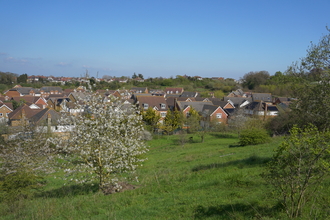 View from Braeburn Park