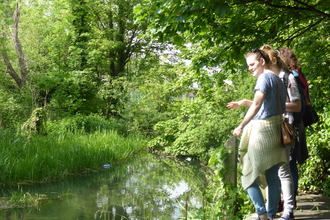 Spencer Road Wetlands