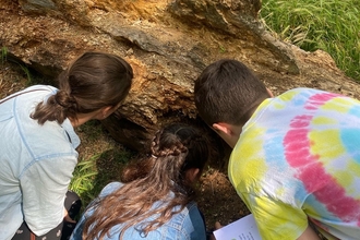 Three children examine a fallen tree trunk surrounded by grass