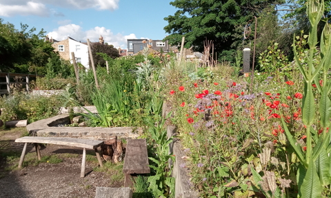 Centre wildlife garden