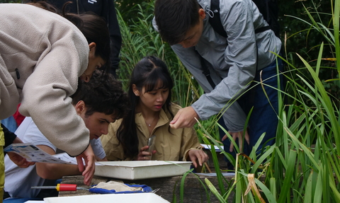 A group of young people pond dipping