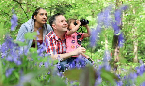 Family in a bluebell filled wood