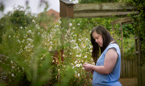 Person looking at flowers in Walthamstow Wetlands