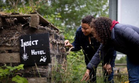 Two people looking into a bug hotel