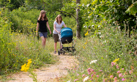 Two people pushing a pram through a flowery reserve