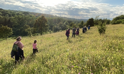 Group of people walking through a field