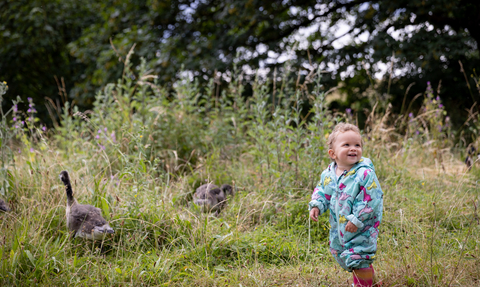 Child with geese at Walthamstow Wetlands