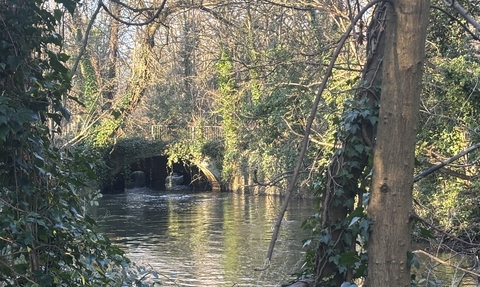 view of the river Crane through foliage as it flows under an arched bridge