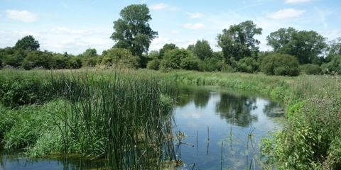 London Wildlife Trust | London Wildlife Trust