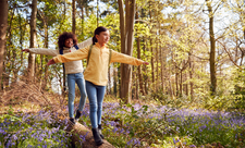 Two Children Walking Through Bluebell Woods In Springtime Balancing On Log