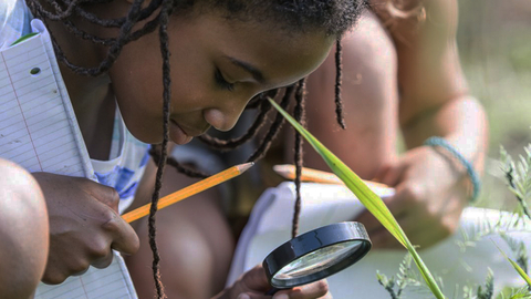 children looking through magnifying glass