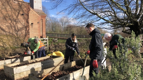 Volunteers tending to raised beds