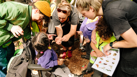 Parents and children looking at an invertebrate