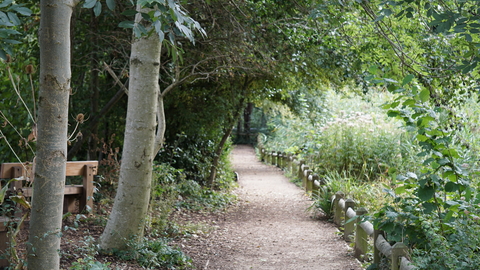 Pathway at Camley Street Natural Park