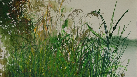 A painting of reeds in the wetlands 