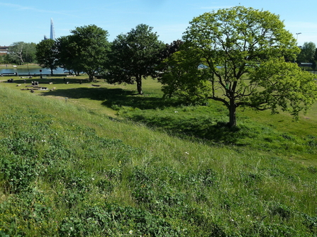 Burgess Park