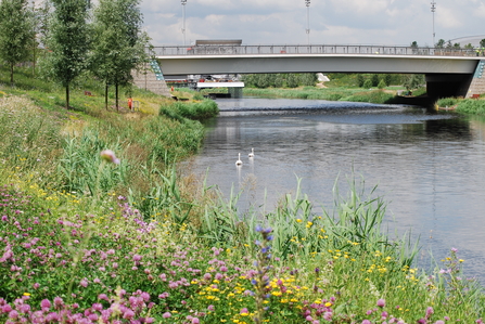 River Lea