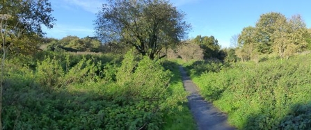 River Wandle