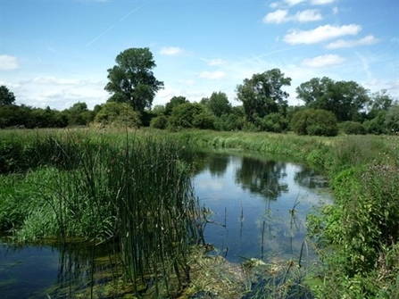 Colne valley