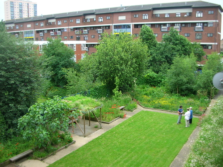 Aerial view of green lawn and foliage at Clapton Park