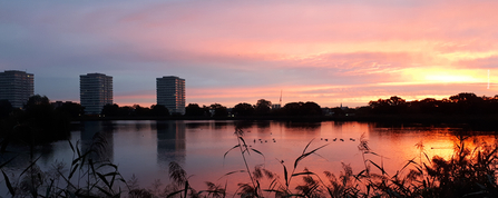 In the back ground three large tower block building silhouetted by the rising sun, in the foreground are shadows of vegetation growing along the bank and the water glows orange, blue and pink in the light