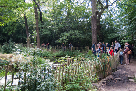 Sydenham Hill Wood Open Day