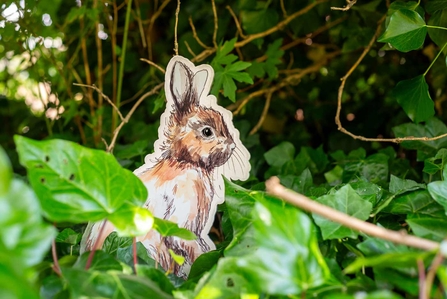 a drawing of a rabbit stood amongst leaves