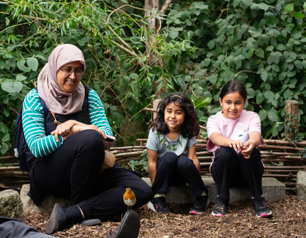 a robin perched on the boot of a person whilst an adult and two children look on excitedly