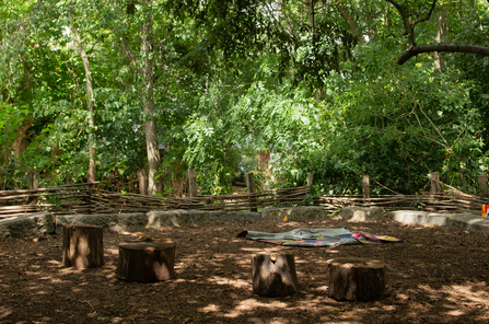 a woodland clearing with wooden stumps as stools and a blanket in the middle