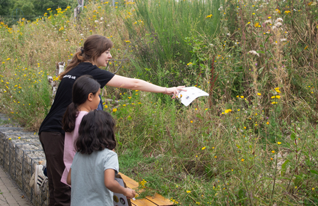 a person pointing at a bank of vegetation whilst two children look on 