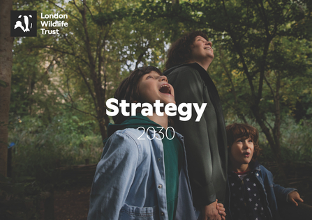 Strategy 2030 - Front Page