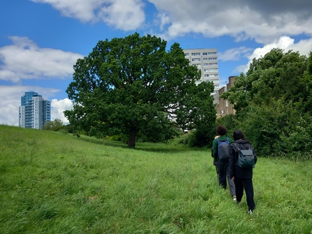 Keeping it wild trainees walking a grass path towards a large oak tree at Woodberry Wetlands.