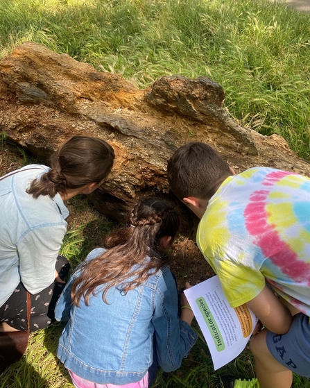 Three children examine a fallen tree trunk surrounded by grass