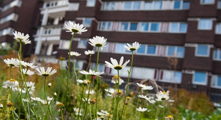 2020VISION, Community Gardening