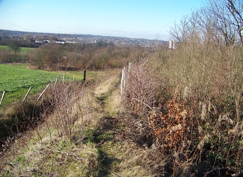 Braeburn Park | London Wildlife Trust