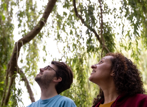 Two people looking up at a tree, cropped