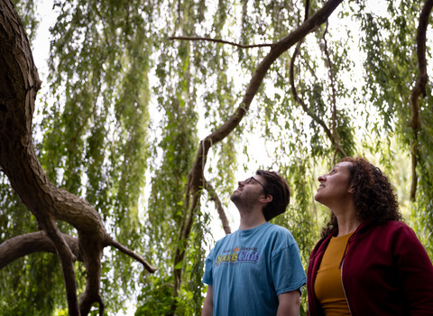 Two people looking up at a tree